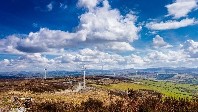 Stormy Week Sees Wind Energy Hit Record Generation